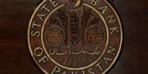 في وقت قياسي.. باكستان تتسلم المليار الثالث وتعلن اكتمال الوديعة السعودية الضخمة