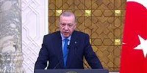 أردوغان وسيطاً.. تحركات تركية مكوكية لجمع قادة روسيا وأوكرانيا في قمة تاريخية