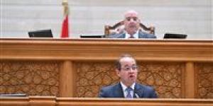 وزير المالية: الحكومة اتجهت إلى ترشيد الإنفاق العام دون المساس بالنفقات الحتمية