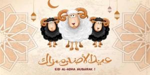 موعد هلال ذي الحجة 2026 في مصر وتفاصيل وقفة عرفات وعيد الأضحى فلكيًا