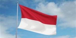 وزير الخارجية الإندونيسي: ندرس طلب السماح للطائرات العسكرية الأمريكية بالمرور عبر مجالنا الجوي