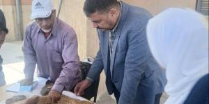 حملات تموينية بالمنوفية تضبط 4 أطنان مواد خام وأعلاف بلا مستندات وتحرر 243 محضرًا