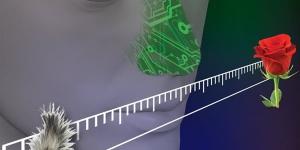 الإفتاء: الأمة الإسلامية ضربت أعظم الأمثلة في نشر الإبداع والابتكار