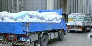 39 موقعًا مجهزًا لتوريد القمح بالبحيرة