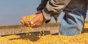 قوافل "الزراعات التعاقدية" تجوب أسيوط والدقهلية لدعم مزارعي المحاصيل الاستراتيجية