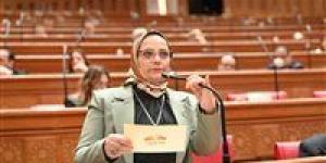 نجلاء العسيلي: ذكرى تحرير سيناء رسالة قوة بأن الدولة تحمي وتبني في آن واحد