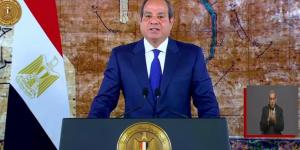 برلمانية: كلمة الرئيس في ذكرى تحرير سيناء تجدد روح الانتماء وترسخ معاني الوطنية