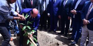 محافظ سوهاج ورئيس الجامعة وعدد من القيادات يشاركون في زراعة أشجار الزيتون