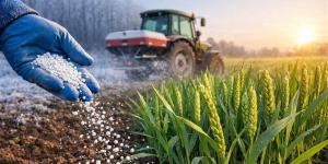 وكالة الطاقة الدولية: ارتفاعات جديدة بقطاع الأسمدة العالمية تهدد المحاصيل الاستراتيجية