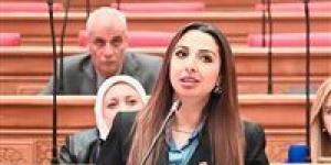 طلب إحاطة جديد بشأن “عمالة المقاول”.. نشوى الشريف تُعيد فتح الملف تحت قبة البرلمان