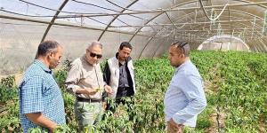 بحوث الصحراء يواصل متابعة الأنشطة الإرشادية والخدمية بمحطاته البحثية بسيوة والوادي الجديد