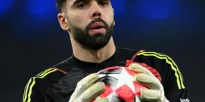 ديفيد رايا يفوز بجائزة القفاز الذهبي لموسم 2025/26 بالدوري الإنجليزي
