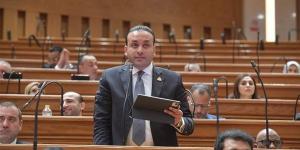 النائب عمرو فهمي: الحساب الختامي اختبار حقيقي لكفاءة إدارة المال العام