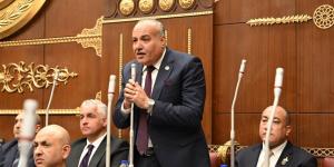 يرلمانى: مصر صمام أمان المنطقة.. واتصال الرئيس السيسي وبن زايد رسالة دعم واضحة