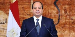 الرئيس السيسي: ما يمس الإمارات يمس مصر