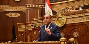 قيادي بحماة الوطن: العلاقات المصرية الإماراتية نموذج عربي متماسك في مواجهة التحديات الإقليمية