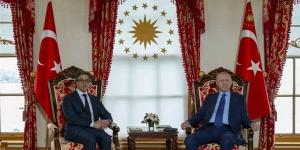 نائب الرئيس الإماراتي يبحث مع أردوغان مسارات التعاون