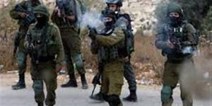 الاحتلال يعتقل 21 مواطناً فلسطينياً في الضفة الغربية