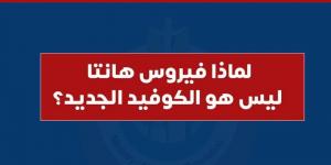 مستشار الرئيس: انتقال فيروس "هانتا" بين البشر ضعيف جدًا والوباء العالمي مستبعد