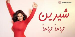 عزيز الشافعي يعلق على جدل كلمات أغنية "تباعًا تباعًا" لشيرين عبد الوهاب
