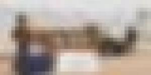  حجز أكثر من مليون قرص مهلوس بتمنراست