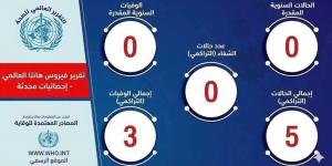 هل سجلت مصر إصابات بفيروس هانتا؟.. الصحة تحسم الجدل