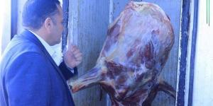 بيطري الشرقية يكثف حملاته التفتيشية علي المجازر الحكومية