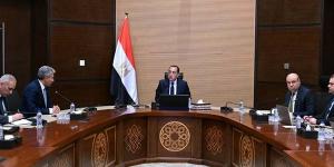 مدبولي يوجه بحوافز عاجلة لدعم الطيران والسياحة والحفاظ على معدلات الحركة الوافدة