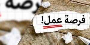 2554 فرصة عمل جديدة متاحة للشباب.. موعد وطريقة التقديم