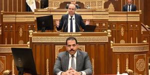 وزير الطيران أمام "الشيوخ": لا بيع للمطارات.. وخطة لرفع أسطول مصر للطيران