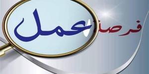 500 وظيفة جديدة للشباب من وزارة العمل بمدينة بدر.. التفاصيل