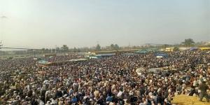 ​بسبب إقبال عيد الأضحى.. حملات مكثفة لتنظيم سوق المواشي بدمنهور
