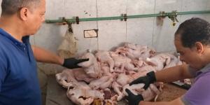 ضبط 346 كجم لحوم وأسماك غير صالحة وتحرير 25 محضرًا بالغربية