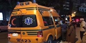ضبط سائق أتوبيس اصطدم بشخص ونجلته في الدقهلية