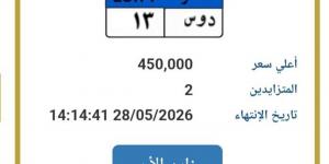 "دوس 13".. لوحة تشعل مزاد المرور وسعرها يصل لـ450 ألف جنيه