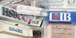 كيف تدعم البنوك قطاع الطاقة في مصر