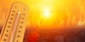 حالة الطقس في الشرقية اليوم الخميس 4 يونيو