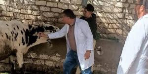 "الخدمات البيطرية": متابعة الحالة الوبائية للماشية بالدقهلية ضمن حملات التقصي