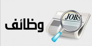 السويس.. بروتوكولات تعاون مع القطاع الخاص لتوفير فرص عمل للمتميزين