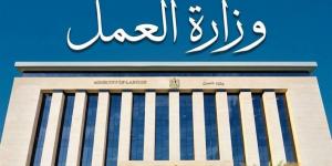 "العمل" تنظم حملة مشتركة بالفرافرة لمتابعة تشغيل الأطفال وعمالة الأجانب