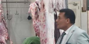 جولة ميدانية لمتابعة أعمال التشغيل التجريبي لمجزر شبين الكوم المطور