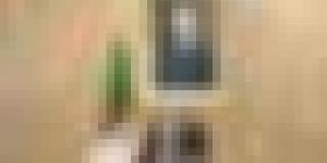 سيفي غريب اجتماعاً للمجلس الوزاري المشترك، خُصص لوضع النظام الوطني المدمج لمراقبة البضائع على الحدود.