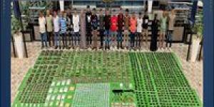 بـ119 مليون جنيه.. الداخلية: مصرع 4 عناصر شديدة الخطورة وضبط طن مخدرات و21 سلاحًا في حملة أمنية بالأقصر