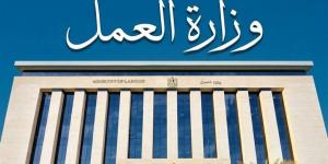 "العمل" تُبرز جهود القاهرة والقليوبية في تشغيل ذوي الهمم وحل النزاعات