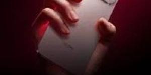 بعد واقعة الخط المجهول.. خطوات بسيطة تكشف جميع أرقام المحمول المسجلة باسمك بالرقم القومي