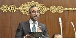 ضمن إنجازات مجلس الشيوخ.. مقترح الحمامصي لتصدير العقار يتحول إلى توصيات رسمية