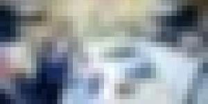 تأسيس المجلس الأعلى للجالية العلمية الوطنية بالخارج