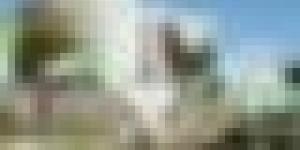 الجيش الوطني الشعبي: إرهابي يسلم نفسه و توقيف 4 عناصر دعم للجماعات الإرهابية خلال أسبوع