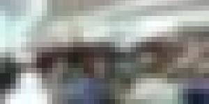 تأسيس 7 مجموعات برلمانية بالمجلس الشعبي الوطني