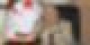 الفريق أول شنقريحة: اليوم الوطني للجيش سيبقى وسام شرف على صدور أبناء المؤسسة العسكرية